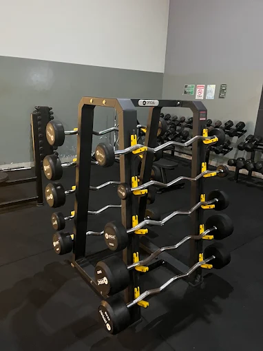 Peso livre na VR Power Gym